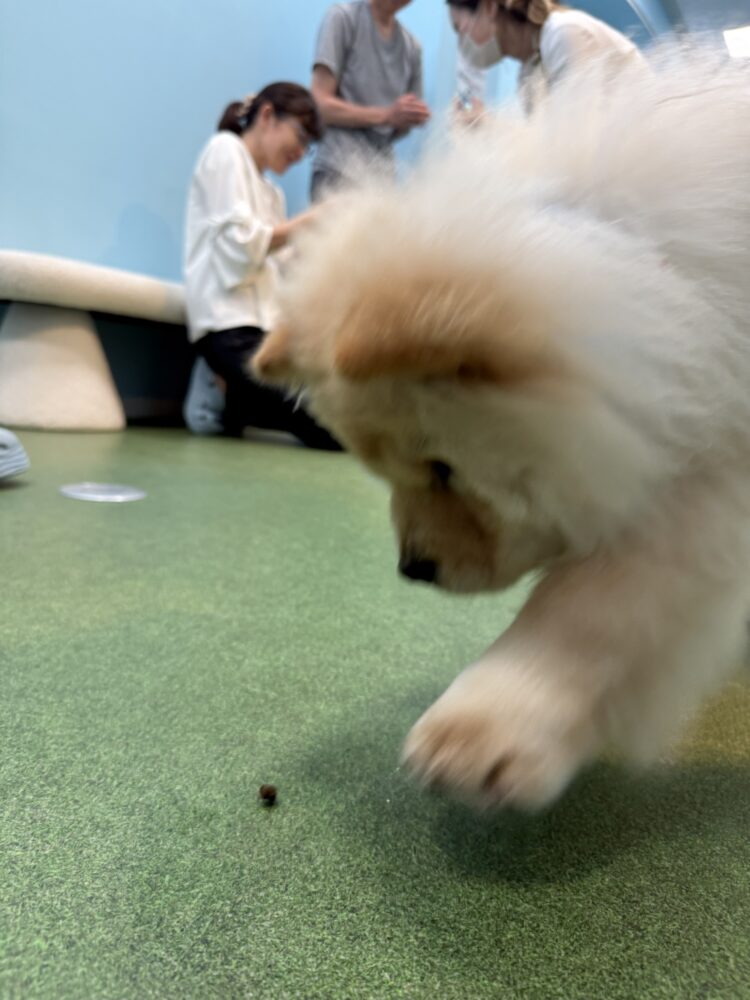 今週も頑張って行きましょう〜🙌🏻