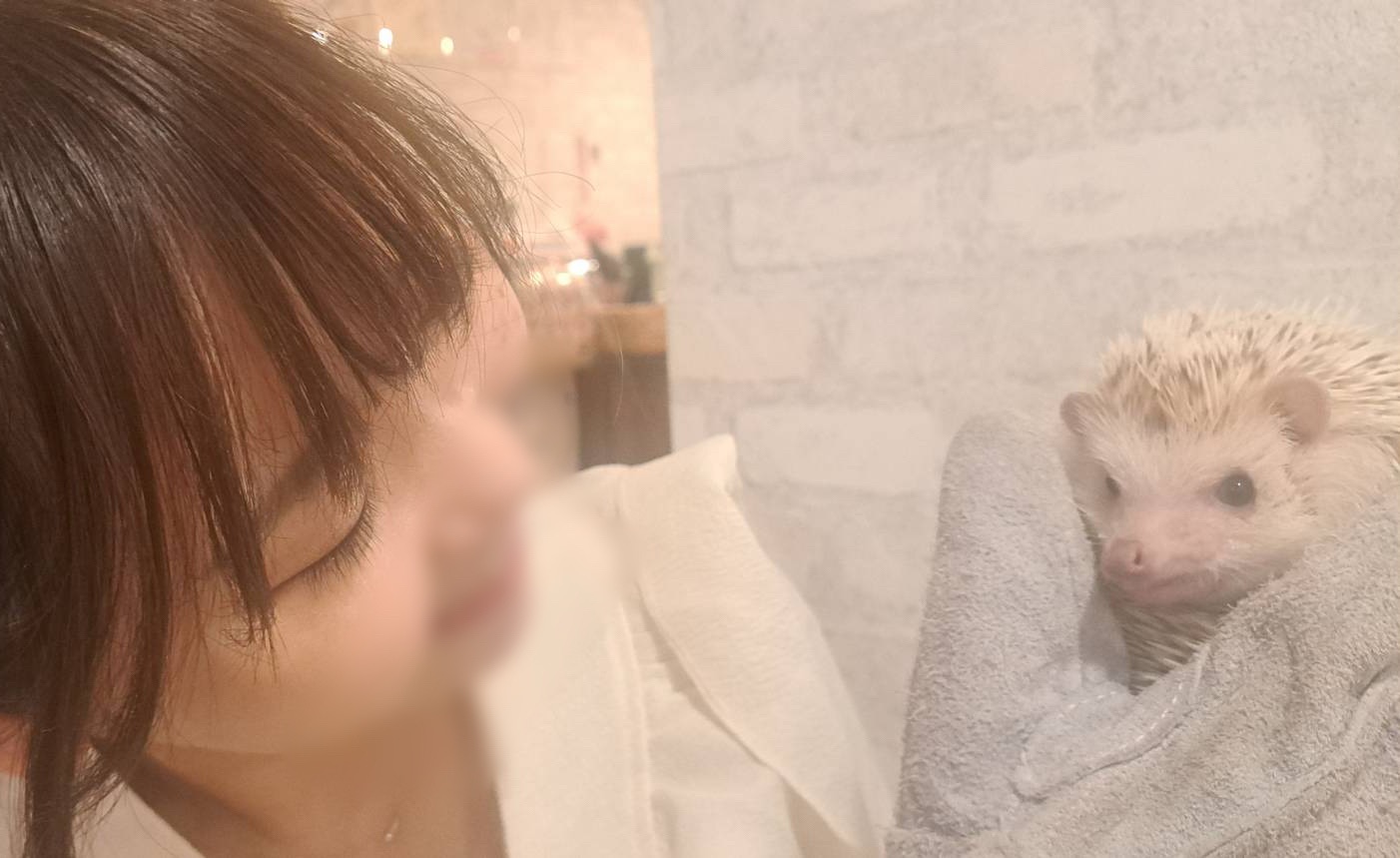 77.私がハリネズミを飼ったら絶対ベジータって名付けるんだ🦔✨️