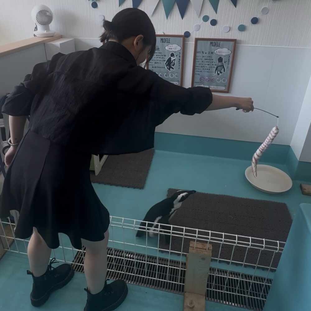 102.初めての触り心地🐧✨️