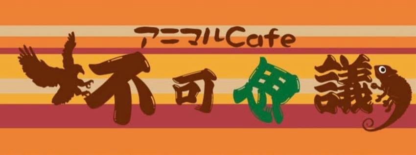 134.楽しすぎる〜〜〜‼️໒꒱· ﾟ