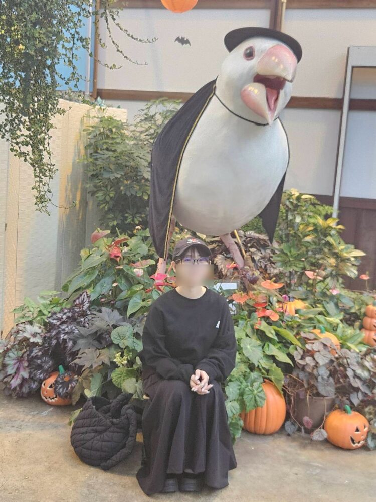 185.鳥好きさん集まれ〜！🦉‪