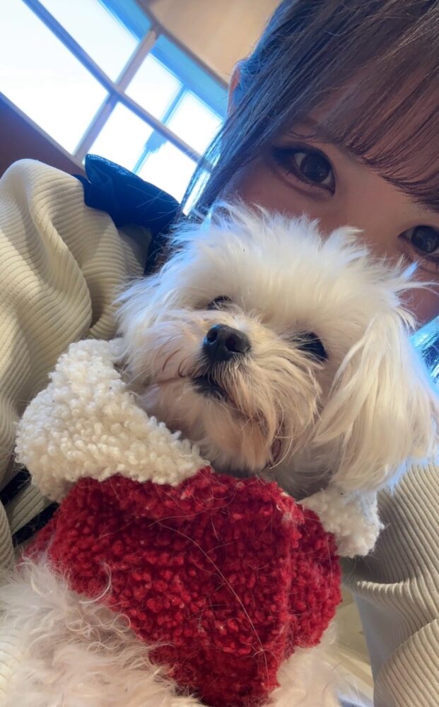 犬カフェ‎ ∪ • ·̫ • ∪