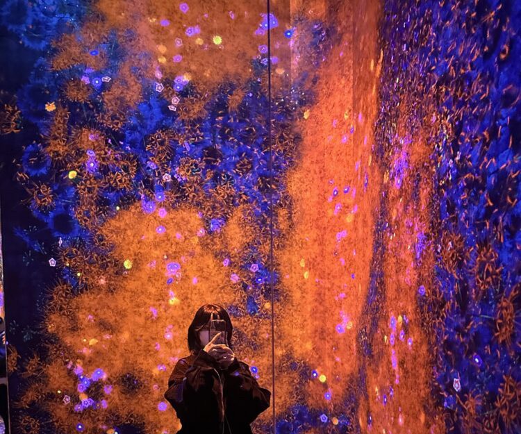 232.世界観に吸い込まれる感覚🌟