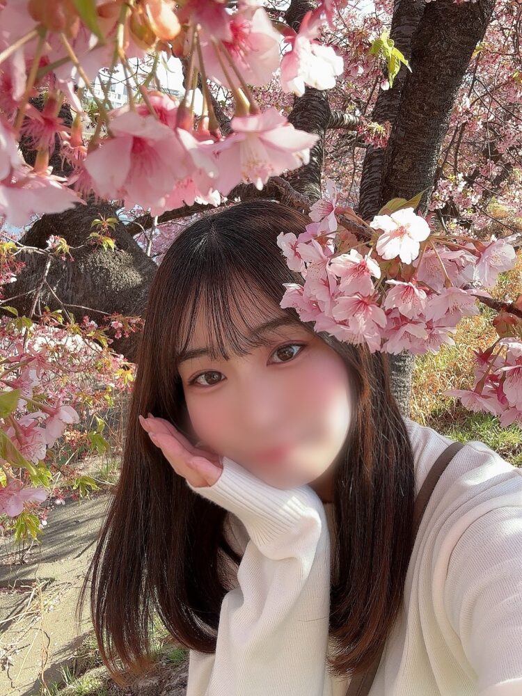 おつかれさまです🌷