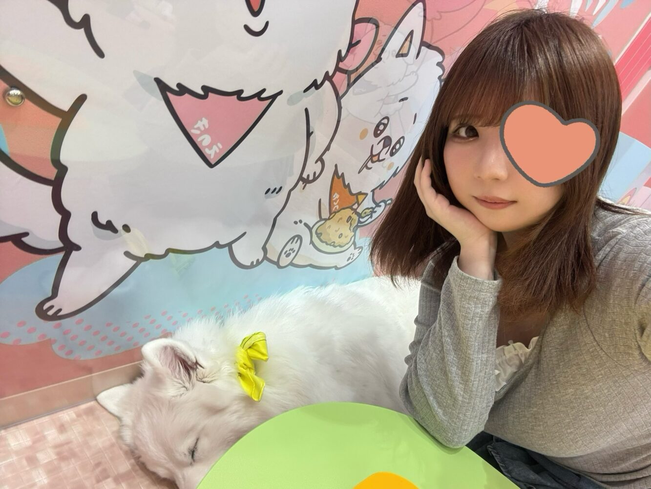 もふもふ天国꒰ ᐢɞ̴̶̷ ·̫ ɞ̴̶̷ᐢ ꒱♡ （あいり）