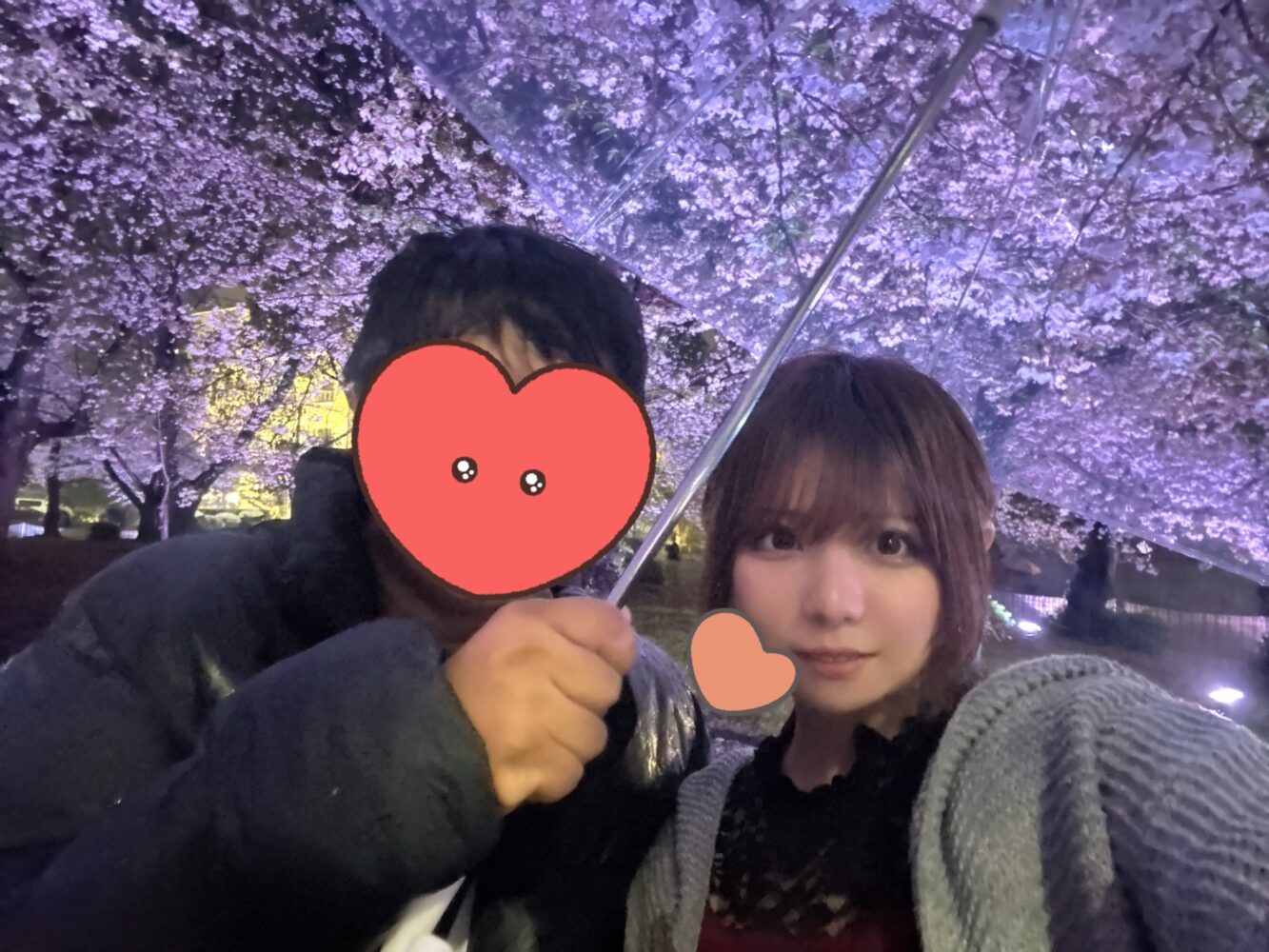雨と夜桜 🌸 （あいり）
