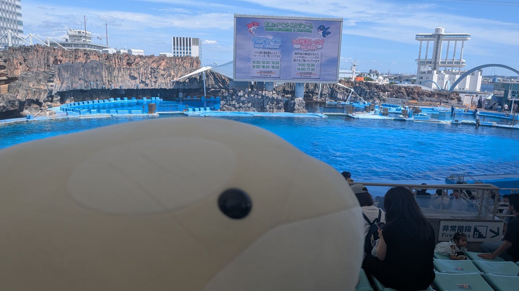 名古屋港水族館デート🐬💖