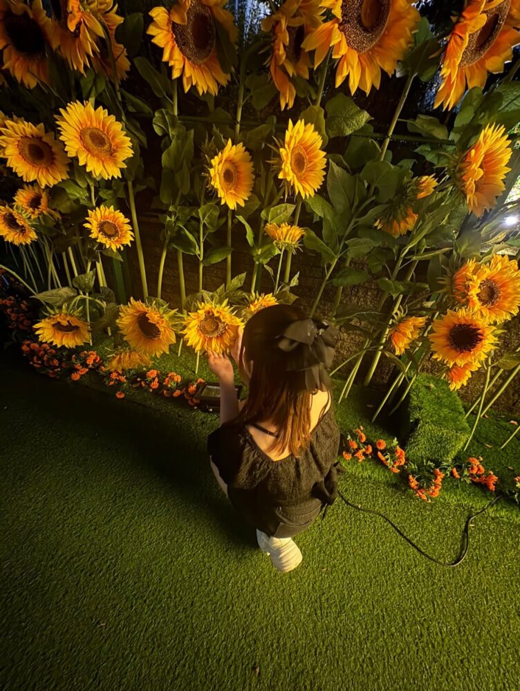 🌻夏の思い出💛ひまわりを見に行ってきました！