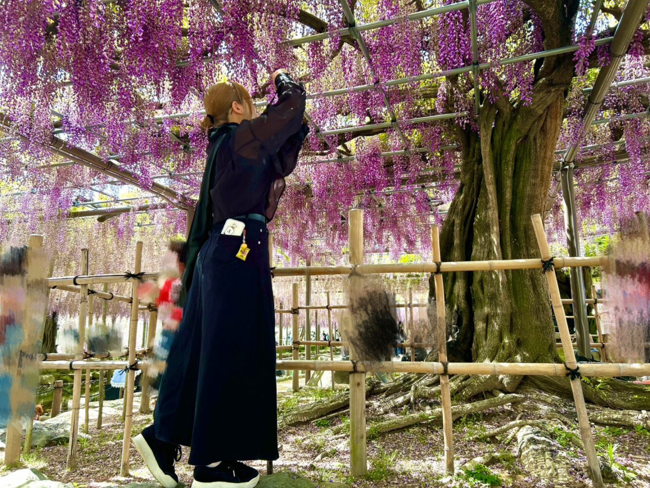 295.愛知なのに知らなかった素敵な景色👀✨️