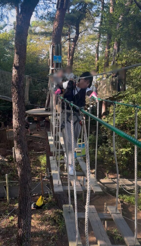 大人になってからのアスレチックが楽しすぎた🌳☀️