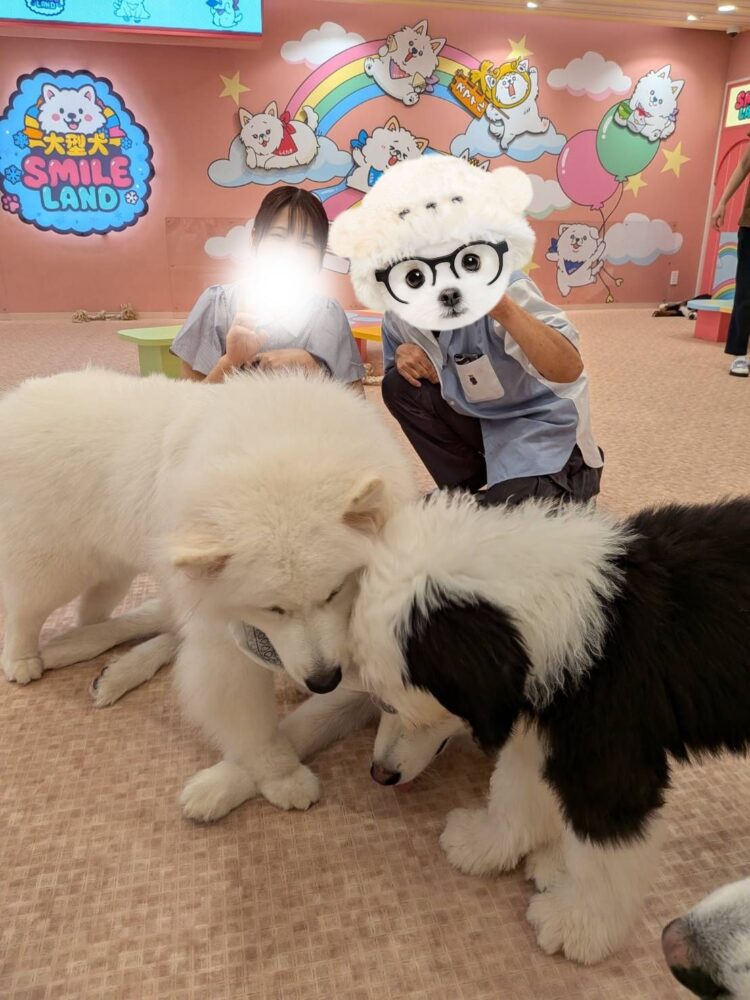 🐾テクテクデート✨